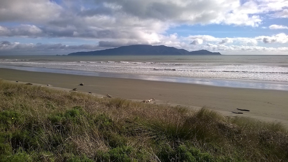 Beach on Kapiti Coast in New Zealand