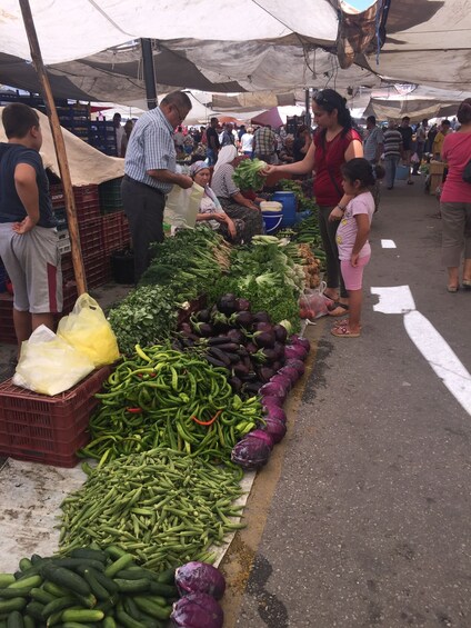 Milas Market Visit and Cooking Class at Country home 