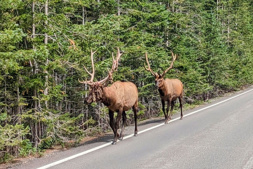 Rocky Mountain National Park Hiking 