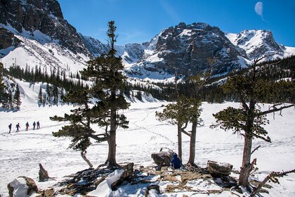 Randonnée dans le parc national des Rocheuses