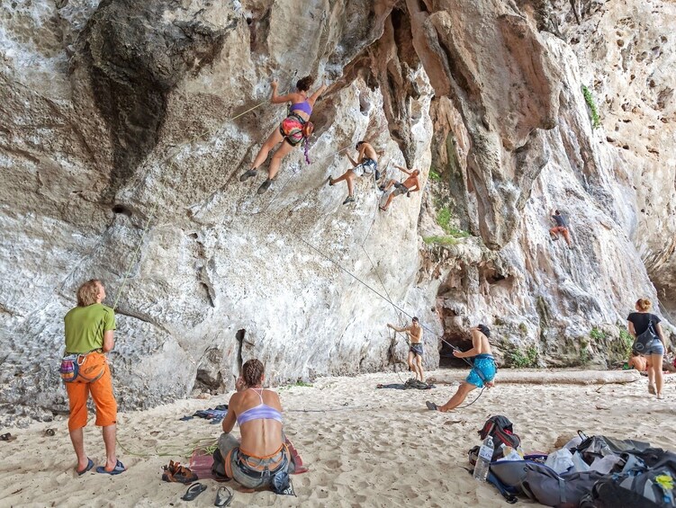 Group on a Rock Climbing Course at Railay Beach