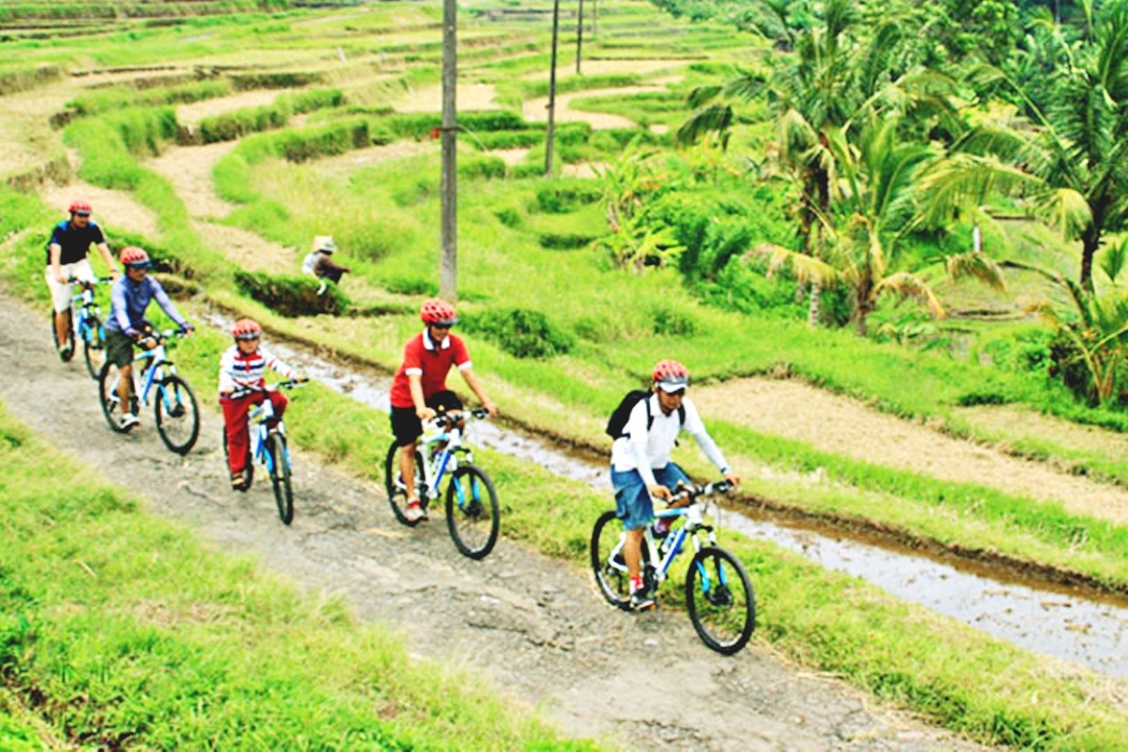 Singaraja Bike Tours Bike Tours in Singaraja Travelocity