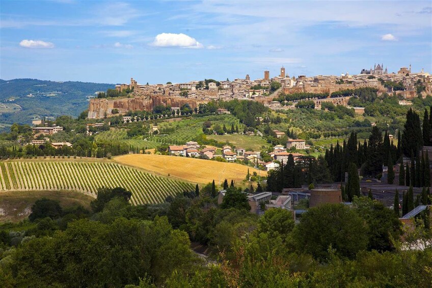 Fields and hilltop city of Orvieto, Italy