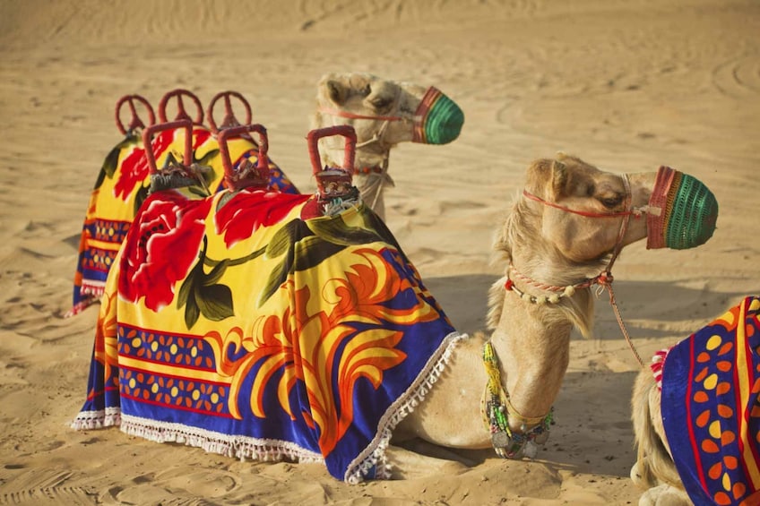 Trio Package -  Dubai City Tour, Desert Safari & Dhow Cruise