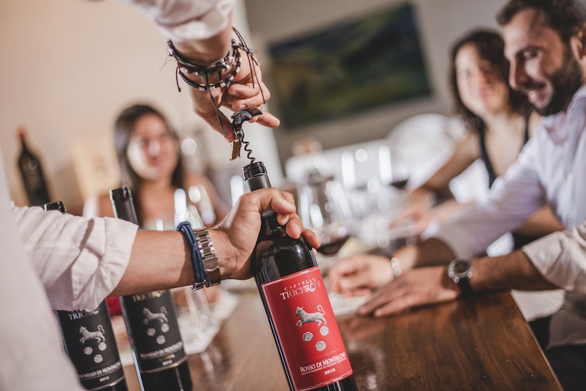 Montalcino Castle & Vineyards Tour with Tasting