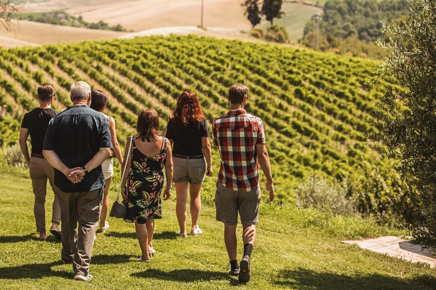 Montalcino Castle & Vineyards Tour with Tasting