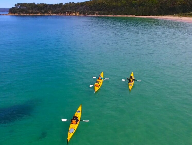 Half Day Sea Kayak Tour