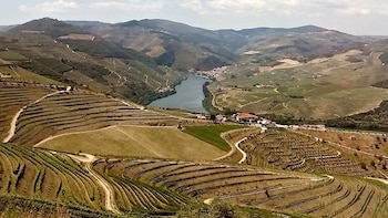 Private - Full-Day Douro Valley Private Wine Tour with Lunch
