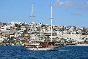 VIP Boat Cruise in Bodrum