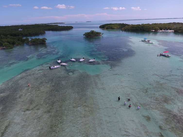 Aerial view of low tide at beach in Key West