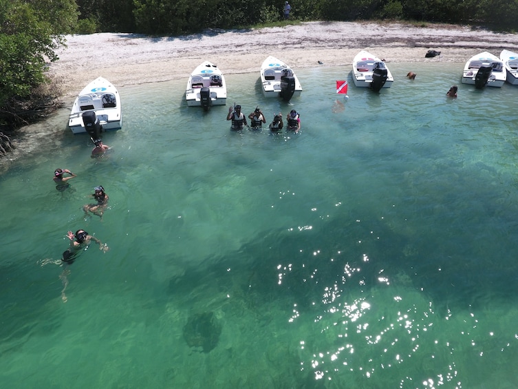 Tourists snorkel in Key West