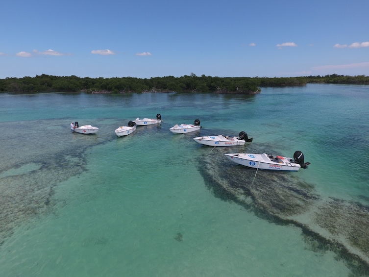 Speedboats with buoys in Key West