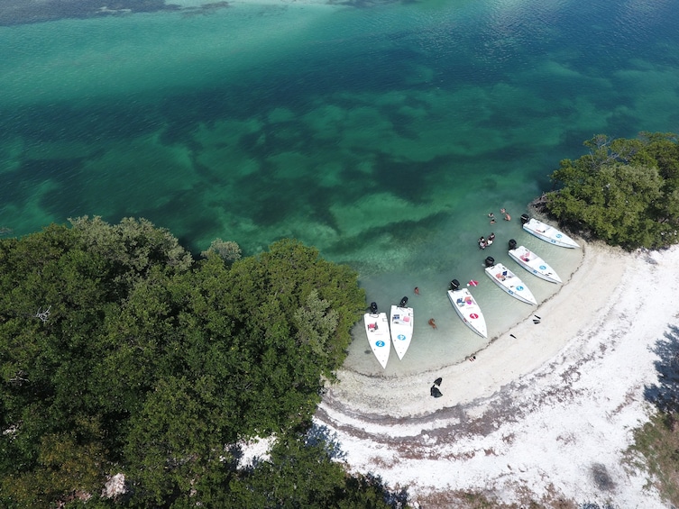 Aerial view of Key West beach and ocean