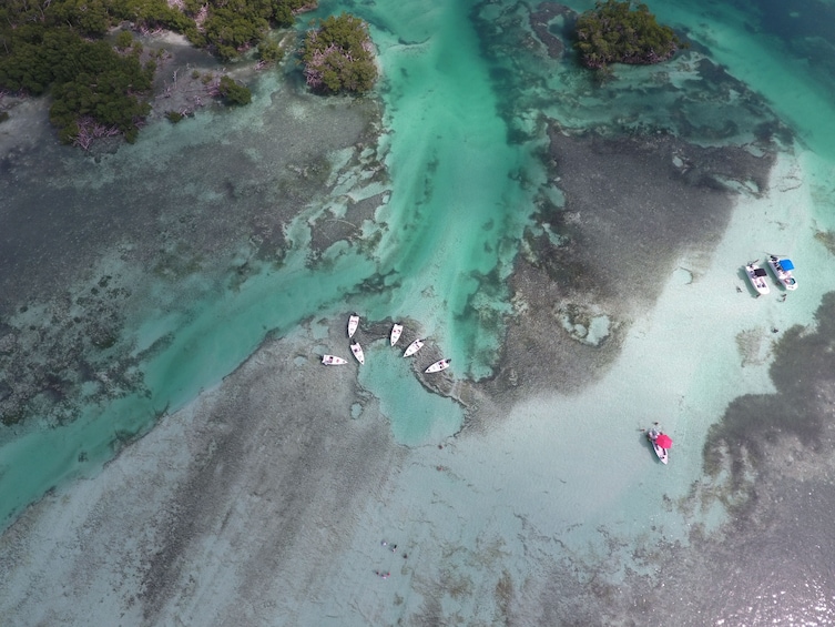 Aerial view of low tides in Key West