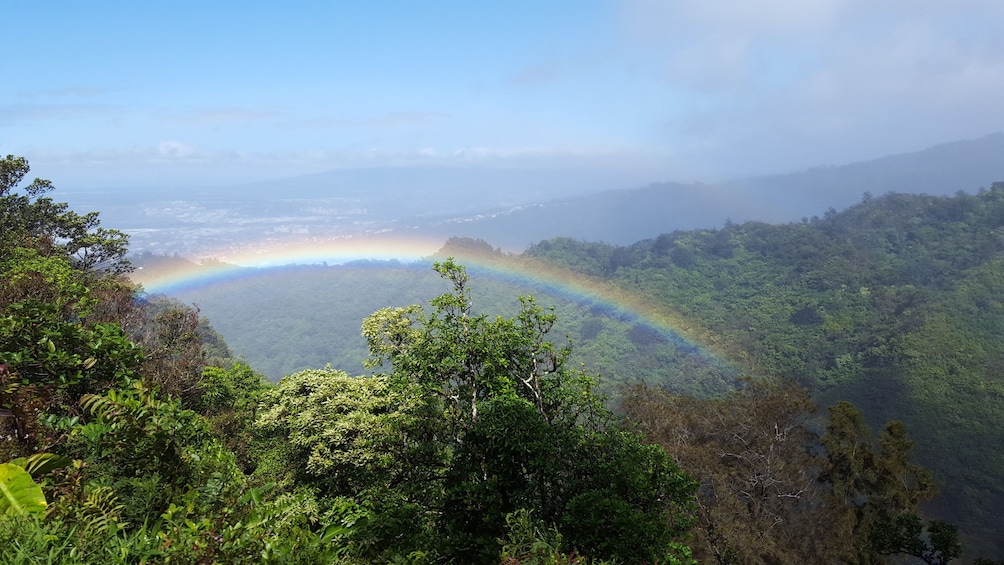 Volcanic Rainforest Hike 