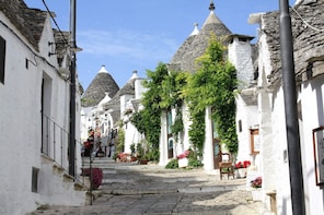 Valle d'Itria Tour with Professional Guide, from Lecce