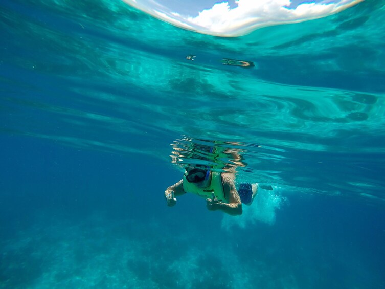 Guest snorkeling in Key West 