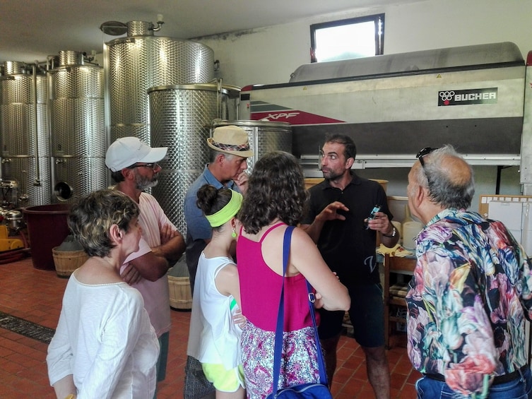 From Venice: Prosecco Country Wine & Food Private Tour