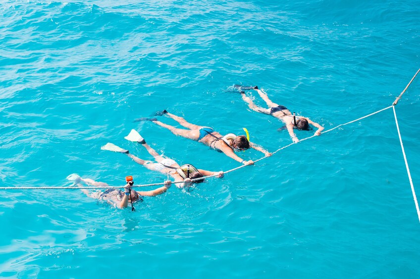 Four snorkelers hold onto rope as they look underwater