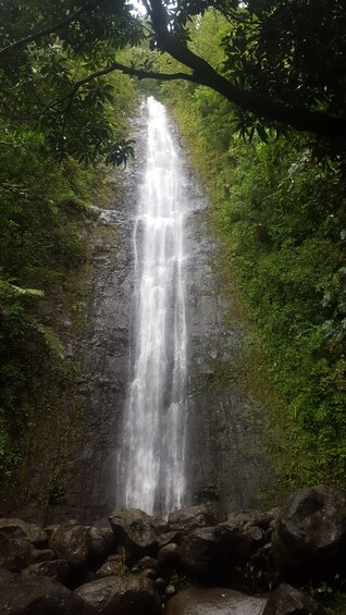 Hawaiian Waterfall Hike 