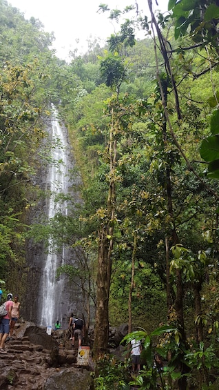 Hawaiian Waterfall Hike 