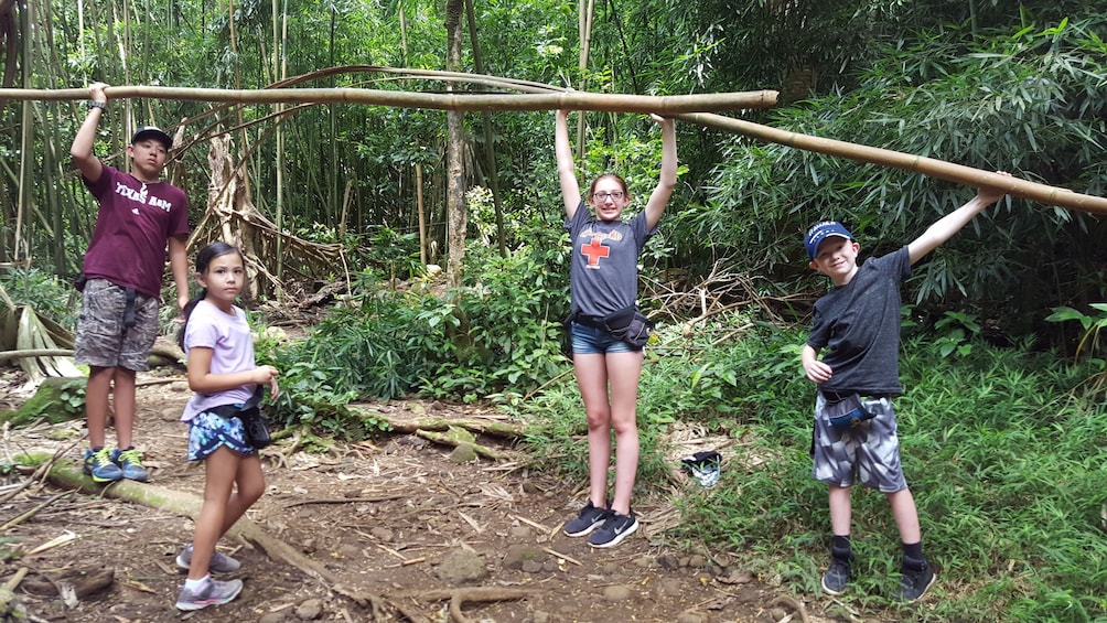 Hawaiian Waterfall Hike 