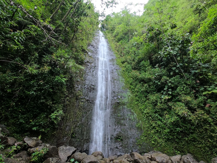 Hawaiian Waterfall Hike 