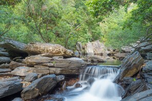 Spring Creek Bushwalk