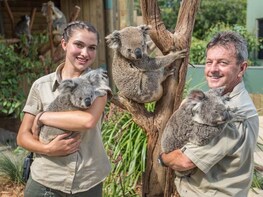 Southern Highlands Private Tour (Wildlife, Waves and Wines)
