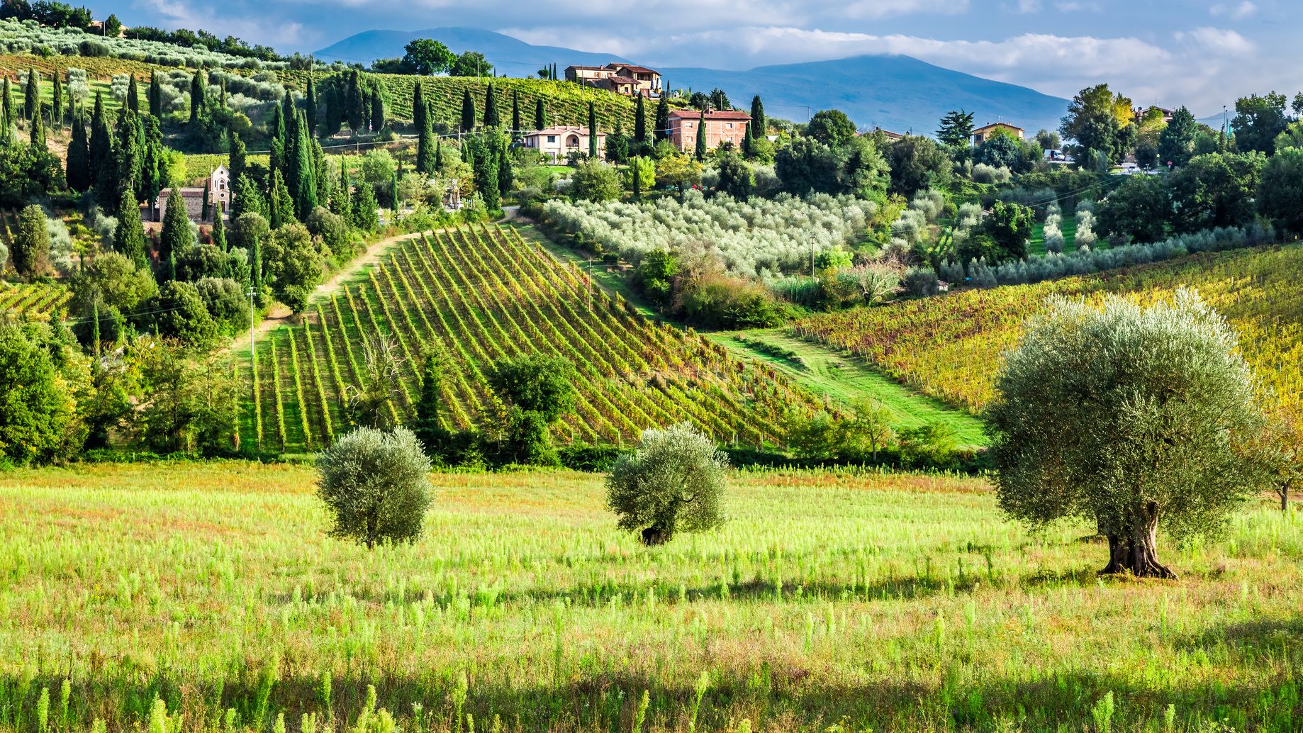 Arezzo Wine Tasting Arezzo Wine Tours Travelocity