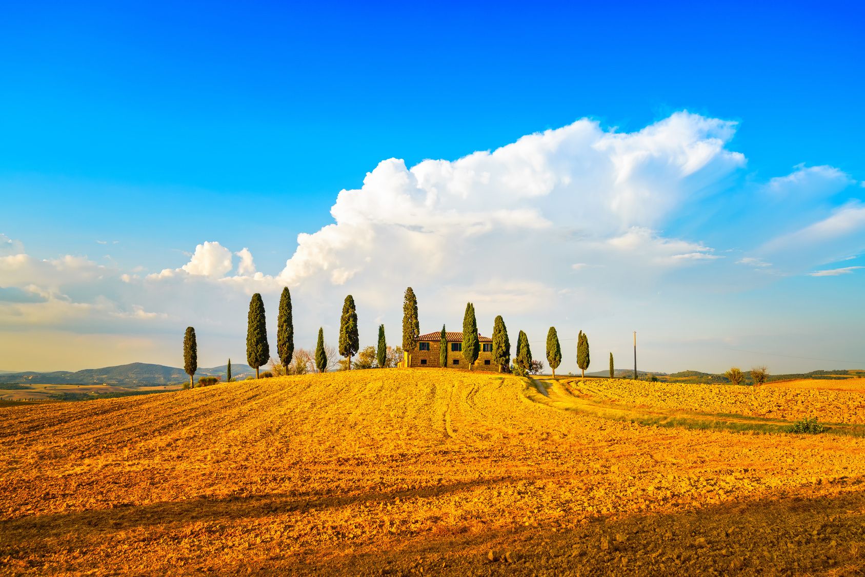 Arezzo Wine Tasting Arezzo Wine Tours Travelocity