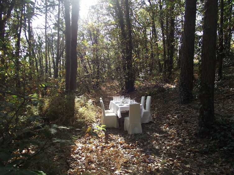 Show item 1 of 8. Cooking class in the woods! 1h from Milan