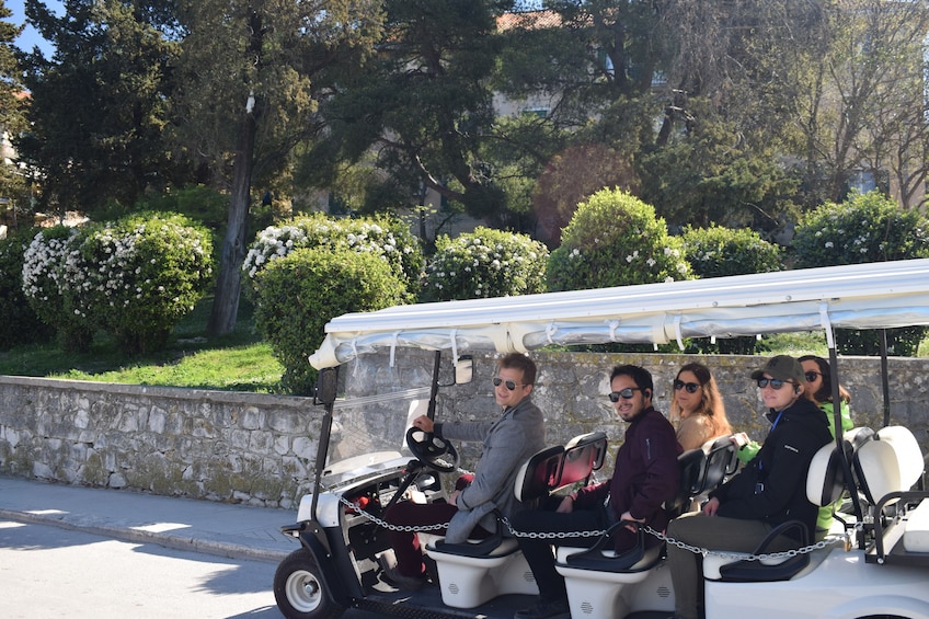 Split Golf Cart Tour