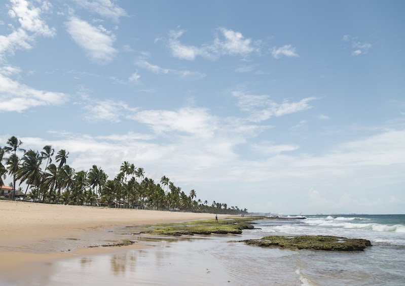 Full Day Tour To Porto De Galinhas