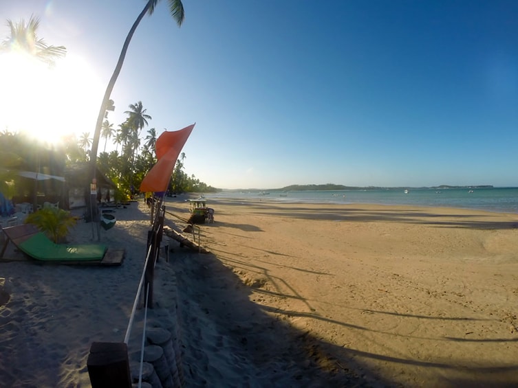 Tour To Carneiros Beach With Catamaran Ride