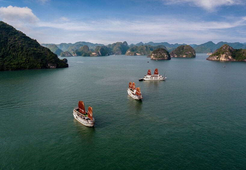 Carina cruise ships on Halong Bay