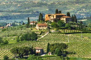 Private tour: Chianti area including wine tasting and lunch