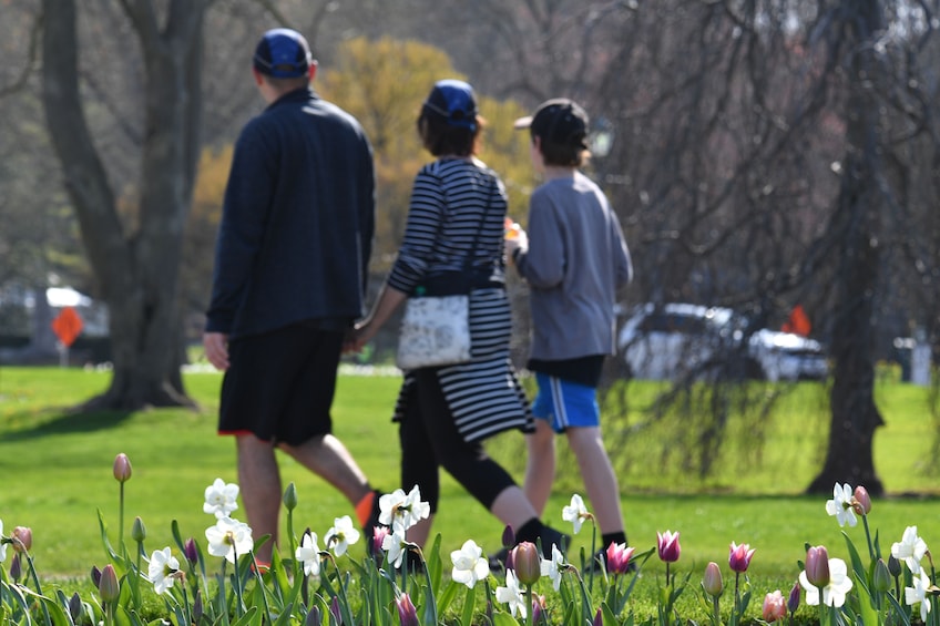 Tourists walk through park near Niagara Falls