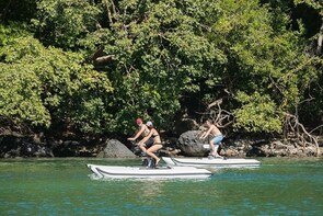 Self Guided Water Bike tour of the Noosa River