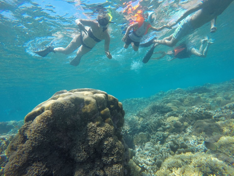 Show item 1 of 5. 3 Gili Snorkeling Tour ( 3 Island Visit in A Day )