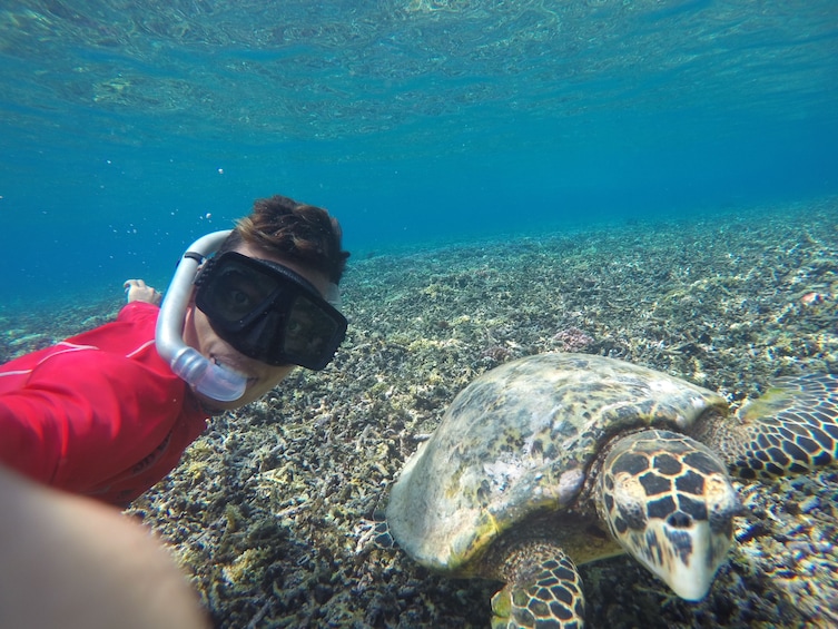 Show item 5 of 5. 3 Gili Snorkeling Tour ( 3 Island Visit in A Day )