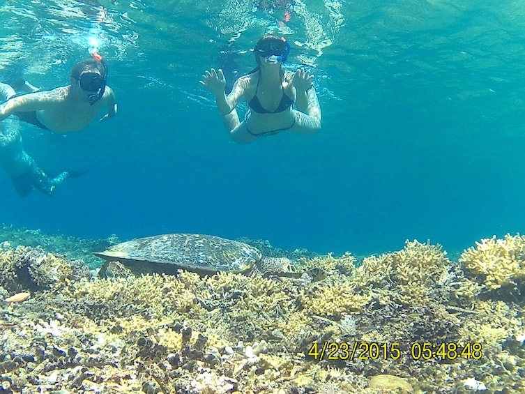 Show item 3 of 5. 3 Gili Snorkeling Tour ( 3 Island Visit in A Day )