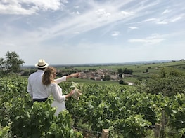 Full day wine and food tour : Dijon & Beaune including lunch