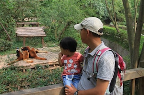 Full-Day Panda Research Base and Chengdu Area Private Tour