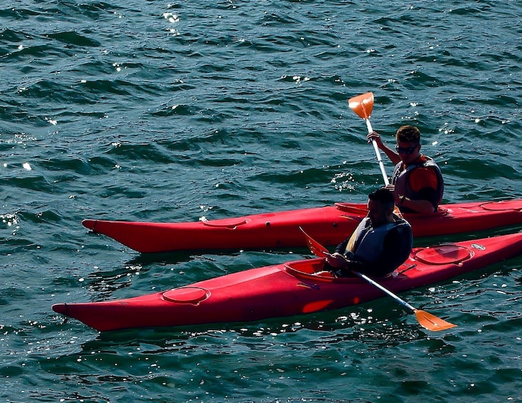 Cairo Kayaking Tour on The Nile River 