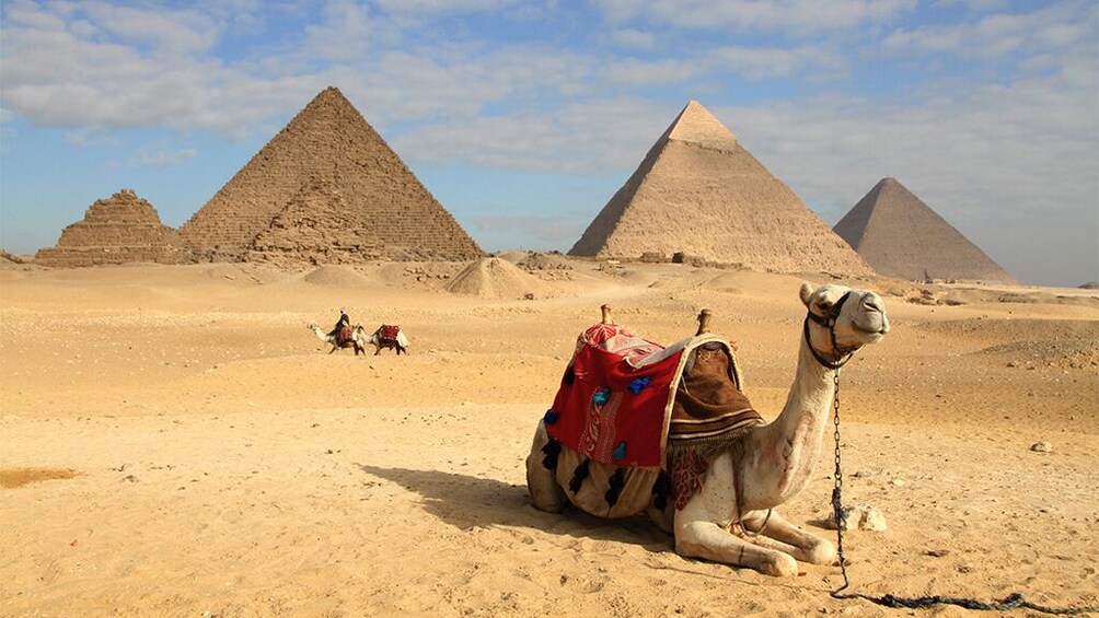  Pyramids , The Egyptian Museum & Citadel - Private Tour