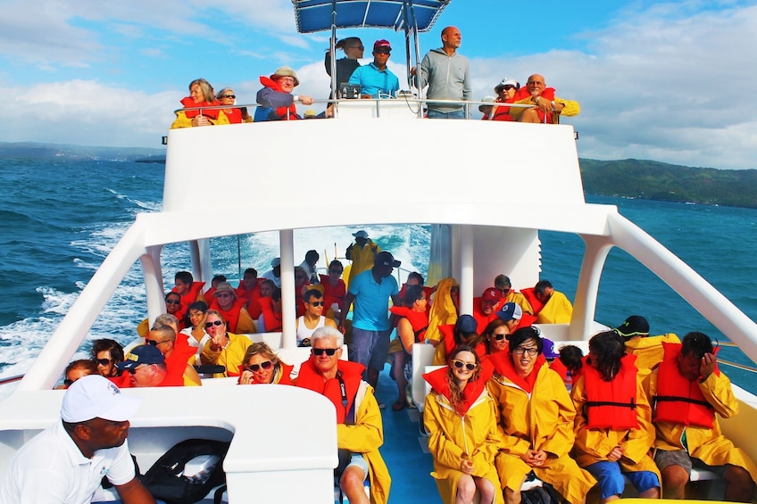 Whales of Samana tour