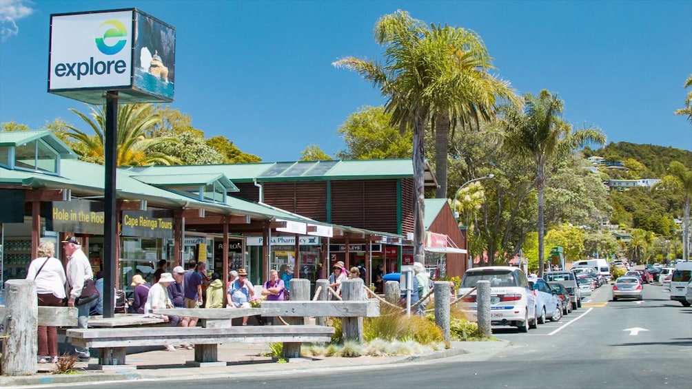 Bay of Islands 3 days Tour