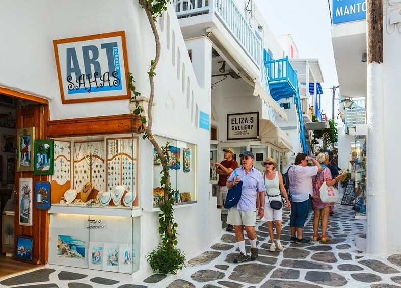 Mykonos Town and Island Half-Day Tour