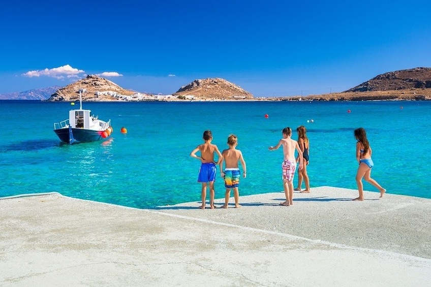 Mykonos Town and Island Half-Day Tour